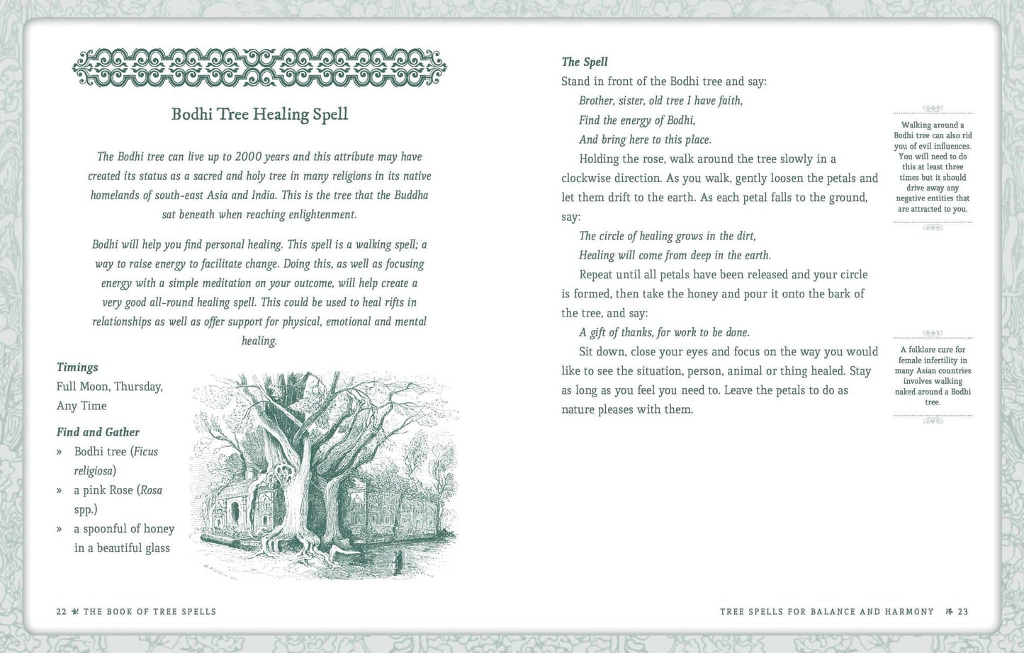 Book of Tree Spells - Cheralyn Darcey - Seidr Magic
