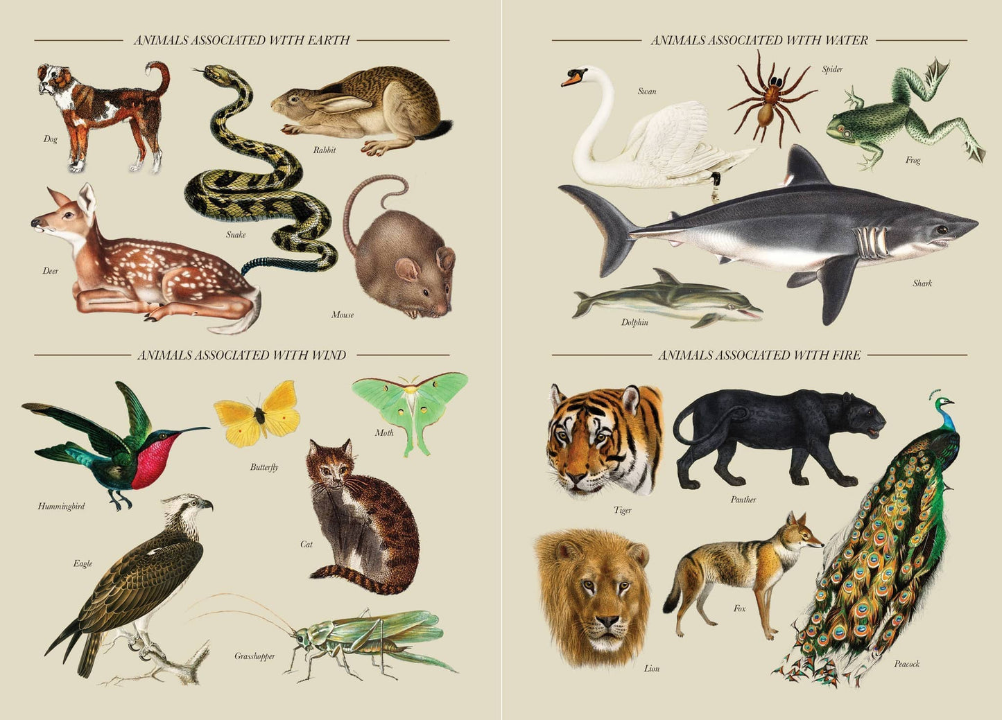 Practical Guide to Magic in Nature - Jessica Lahoud - Seidr Magic