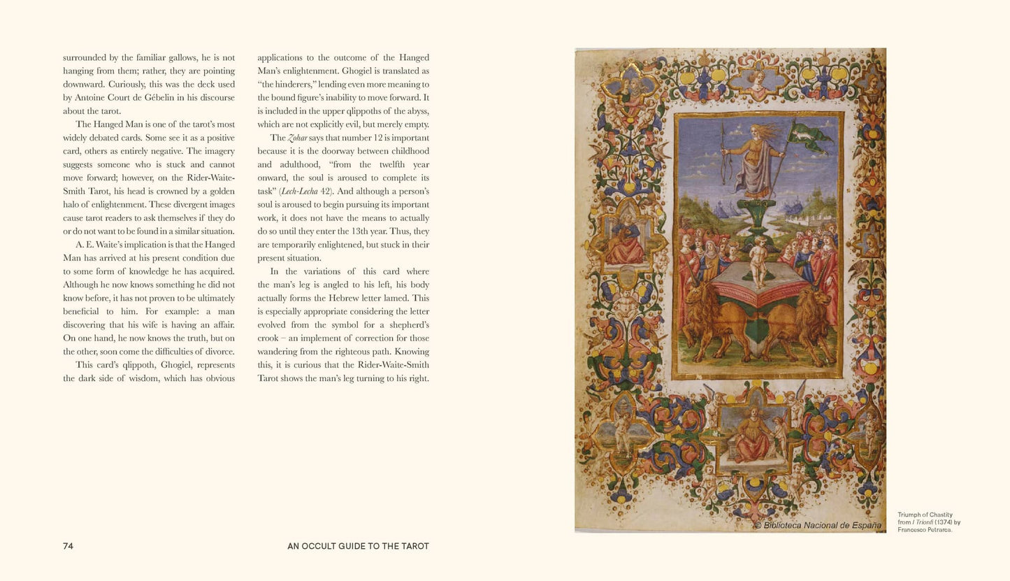 Pages from An Occult Guide to the Tarot - Travis McHenry featuring intricate illustrations and detailed text