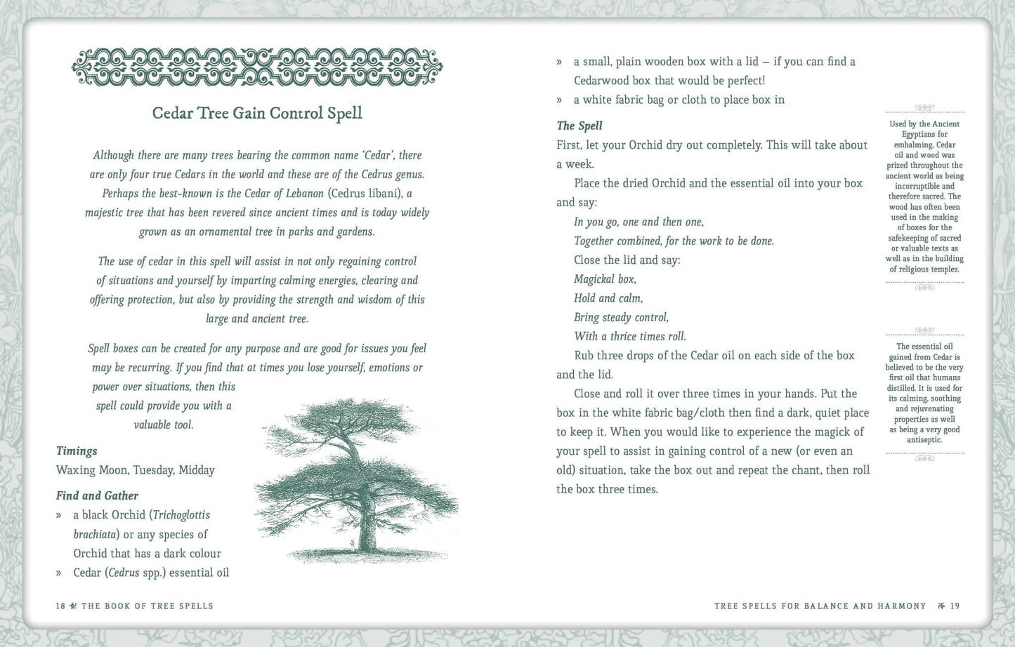 Book of Tree Spells - Cheralyn Darcey - Seidr Magic