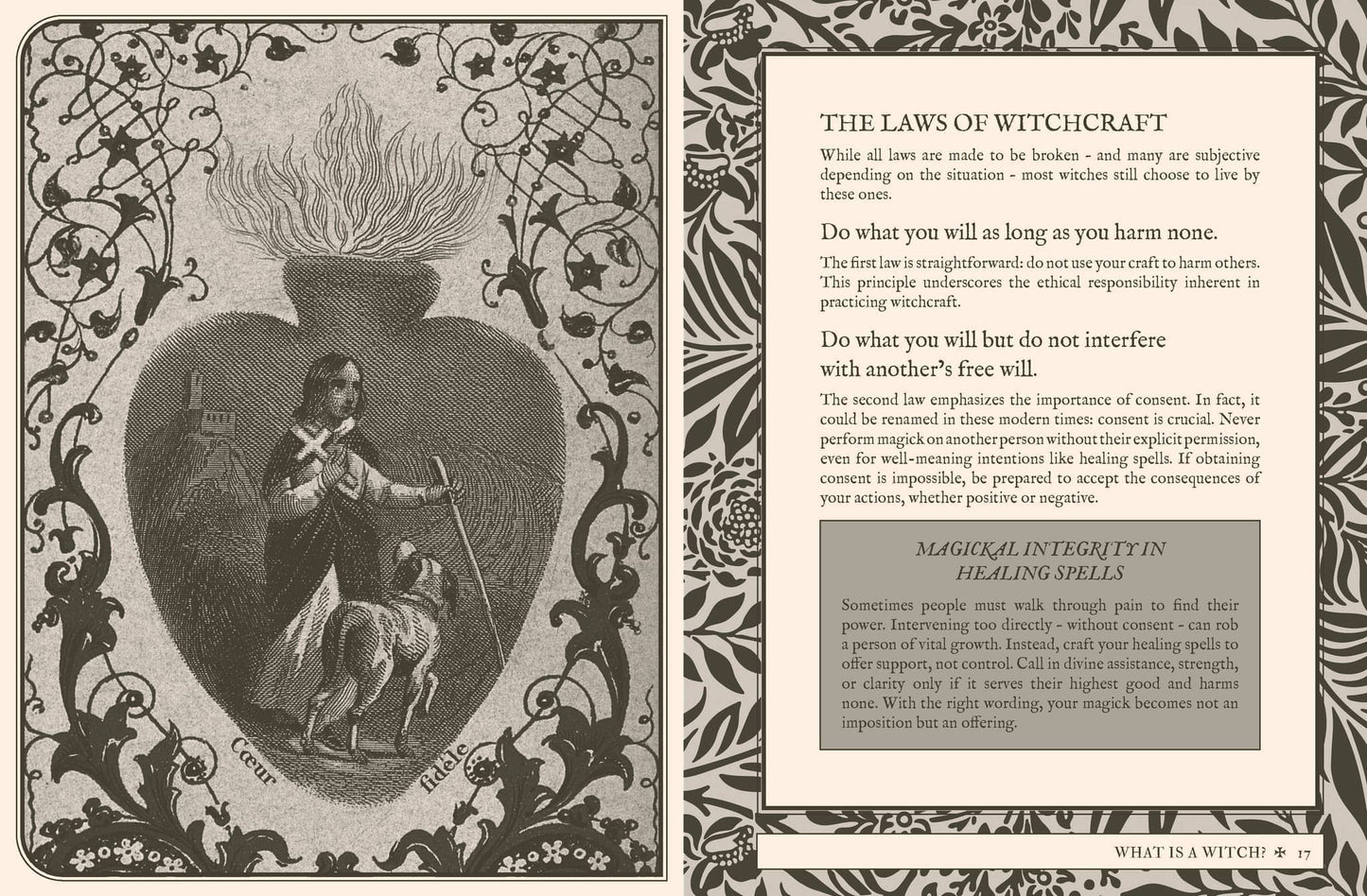 Coven - Fiona Horne book page featuring illustration of witch and dog with laws of witchcraft