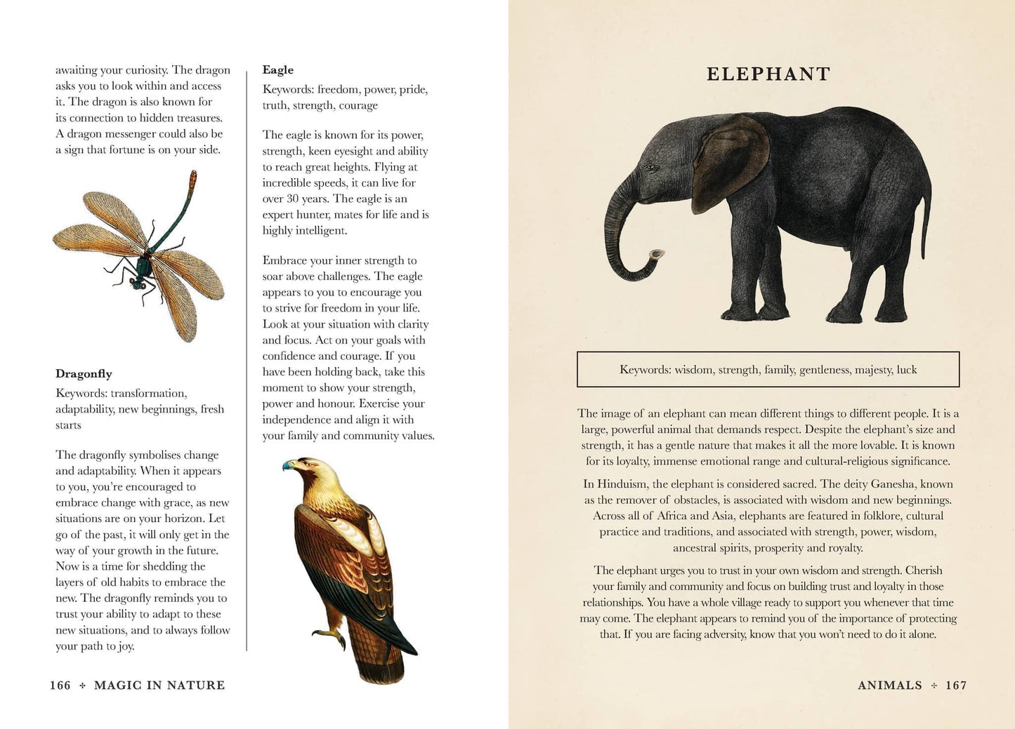 Practical Guide to Magic in Nature - Jessica Lahoud - Seidr Magic