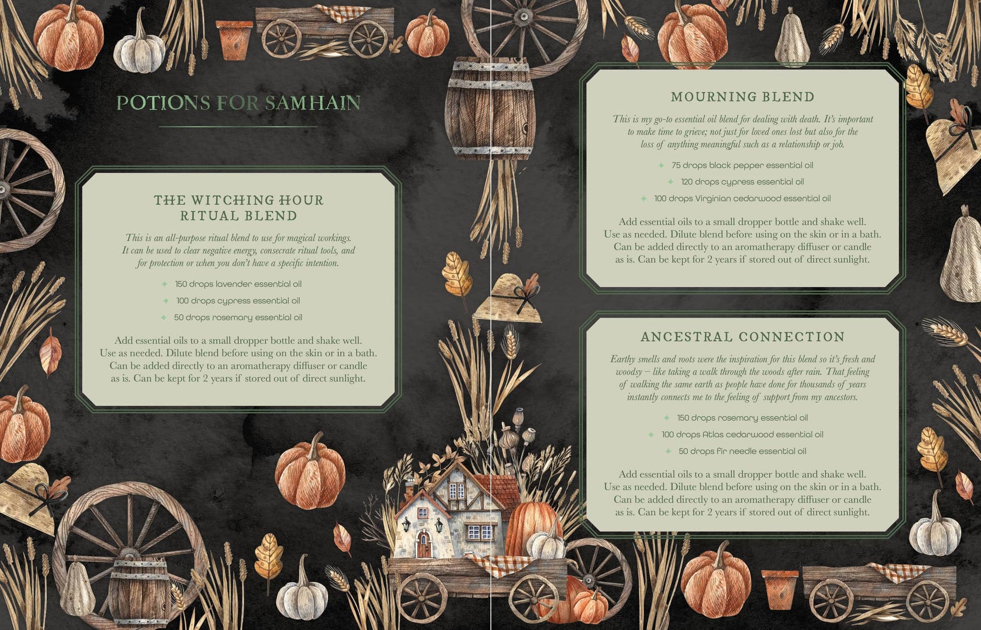 The Witch's Apothecary - Lorraine Anderson Potions for Samhain with rustic illustrations and blend descriptions